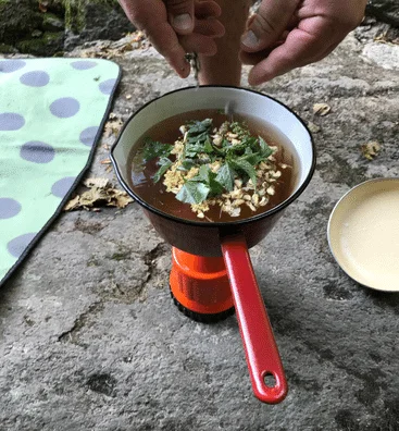 Srpski Wellness - šumski čaj -  Forest Therapy Šumadija