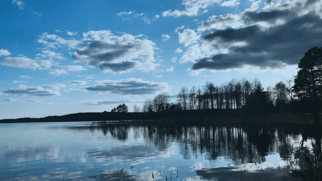 Erasmus-LEAFY-Angsbacka-Svedska-naslovna-fotografija-za-clanak-o-projektu