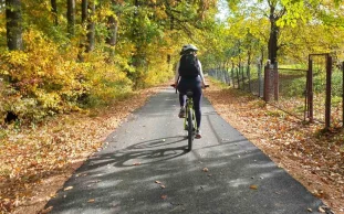 aktivnosti na otvorenom - Forest Therapy Šumadija